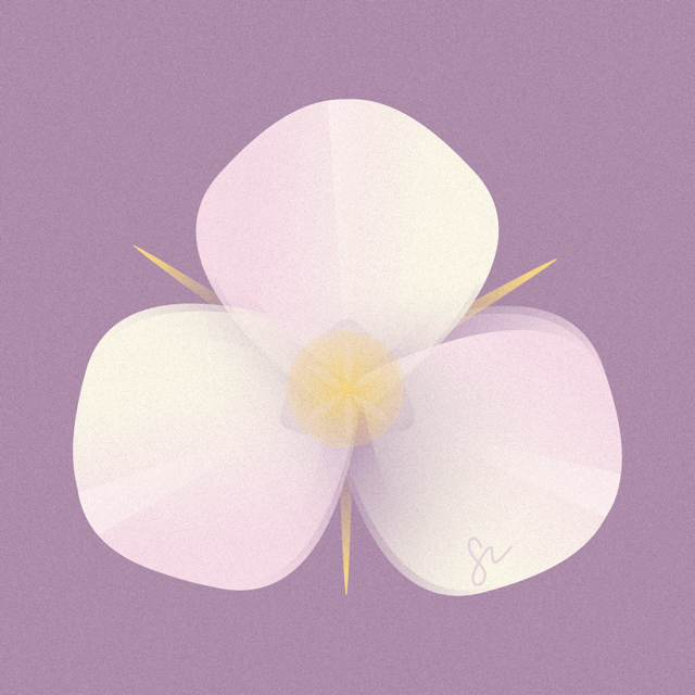 Mariposa illustration