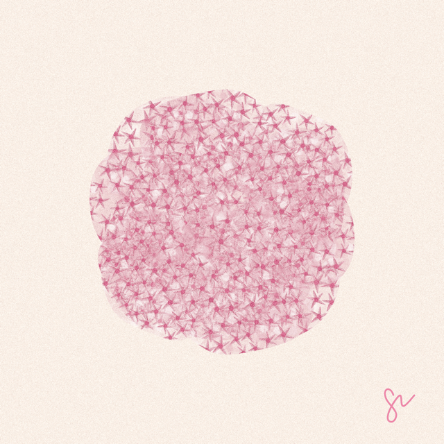 Sedum illustration