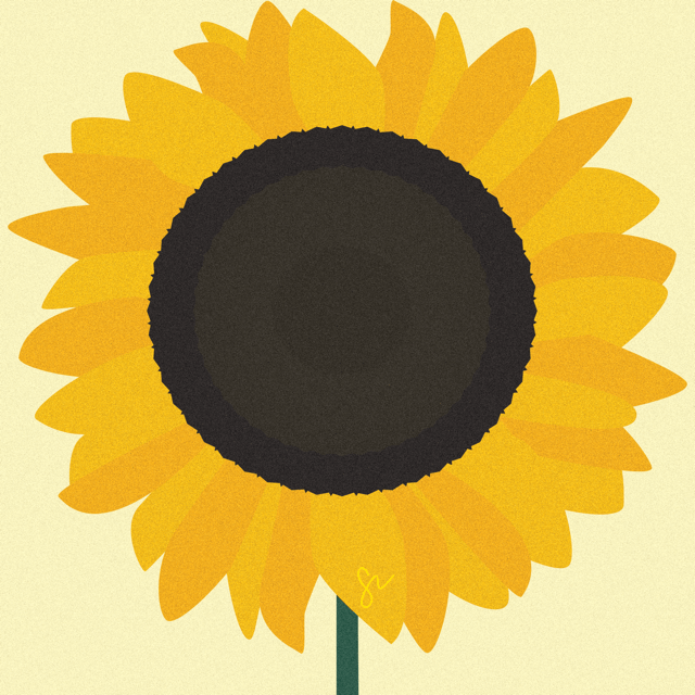 Sunflower illustration